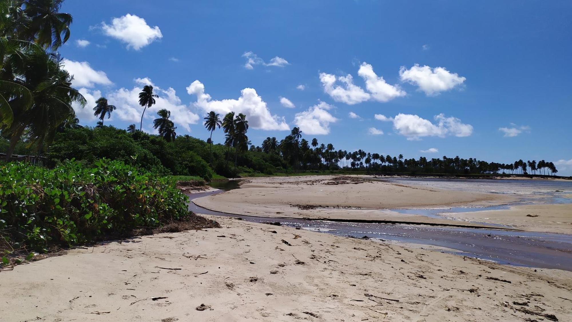 Recanto Das Folhas Paripueira Phòng bức ảnh